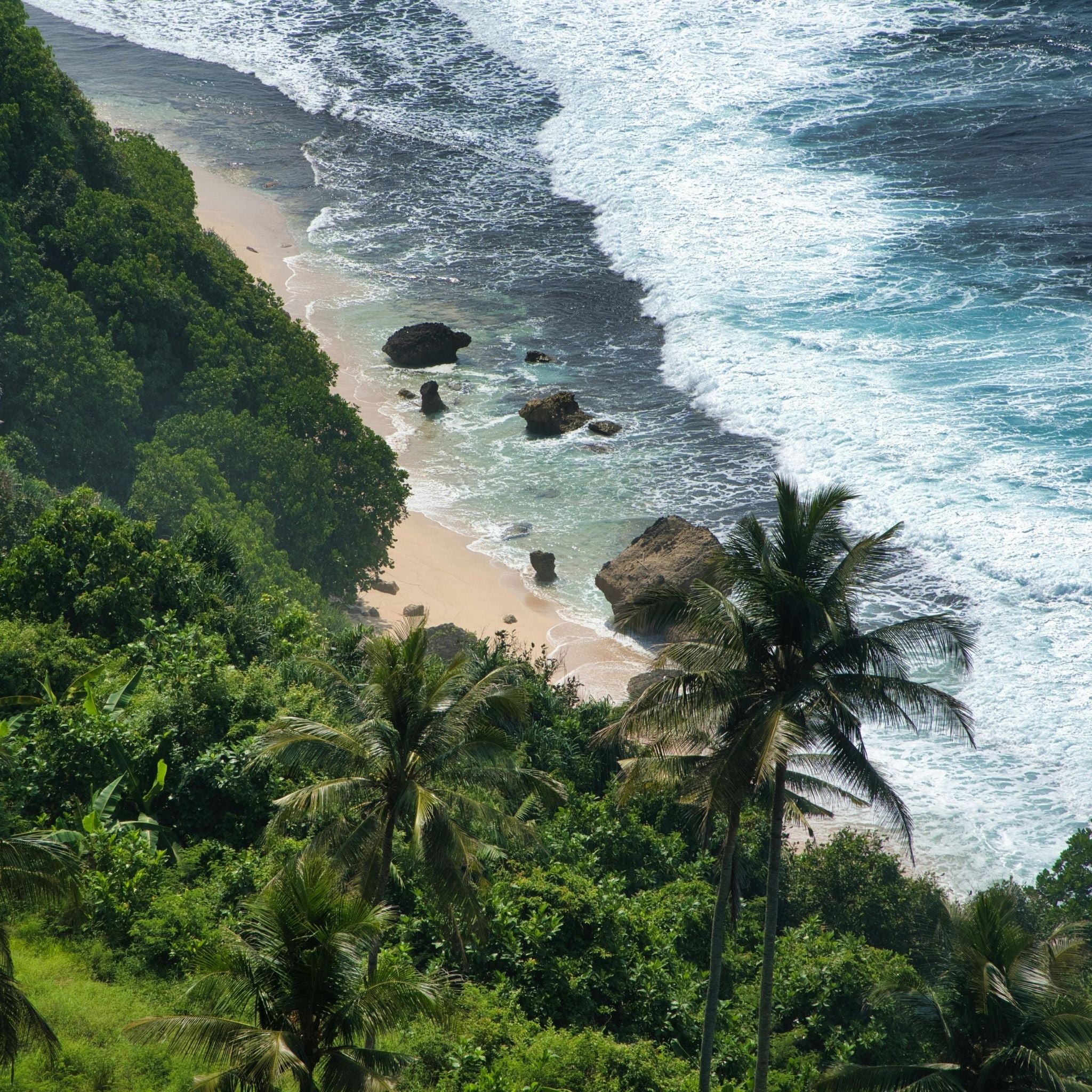 Bali Reiseguide mit 200+ Maps Pins