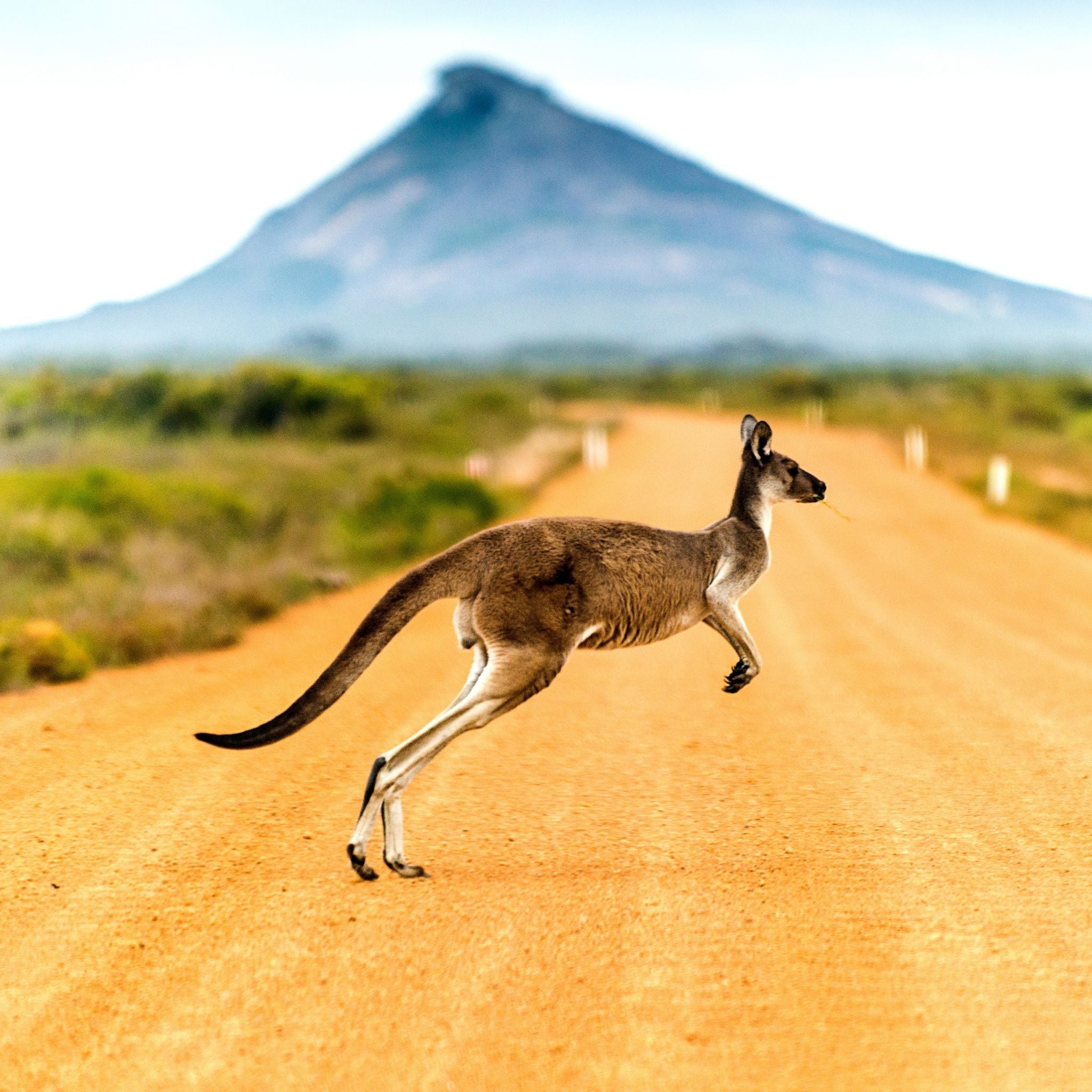 Australien Reiseguide mit 600+ Maps Pins