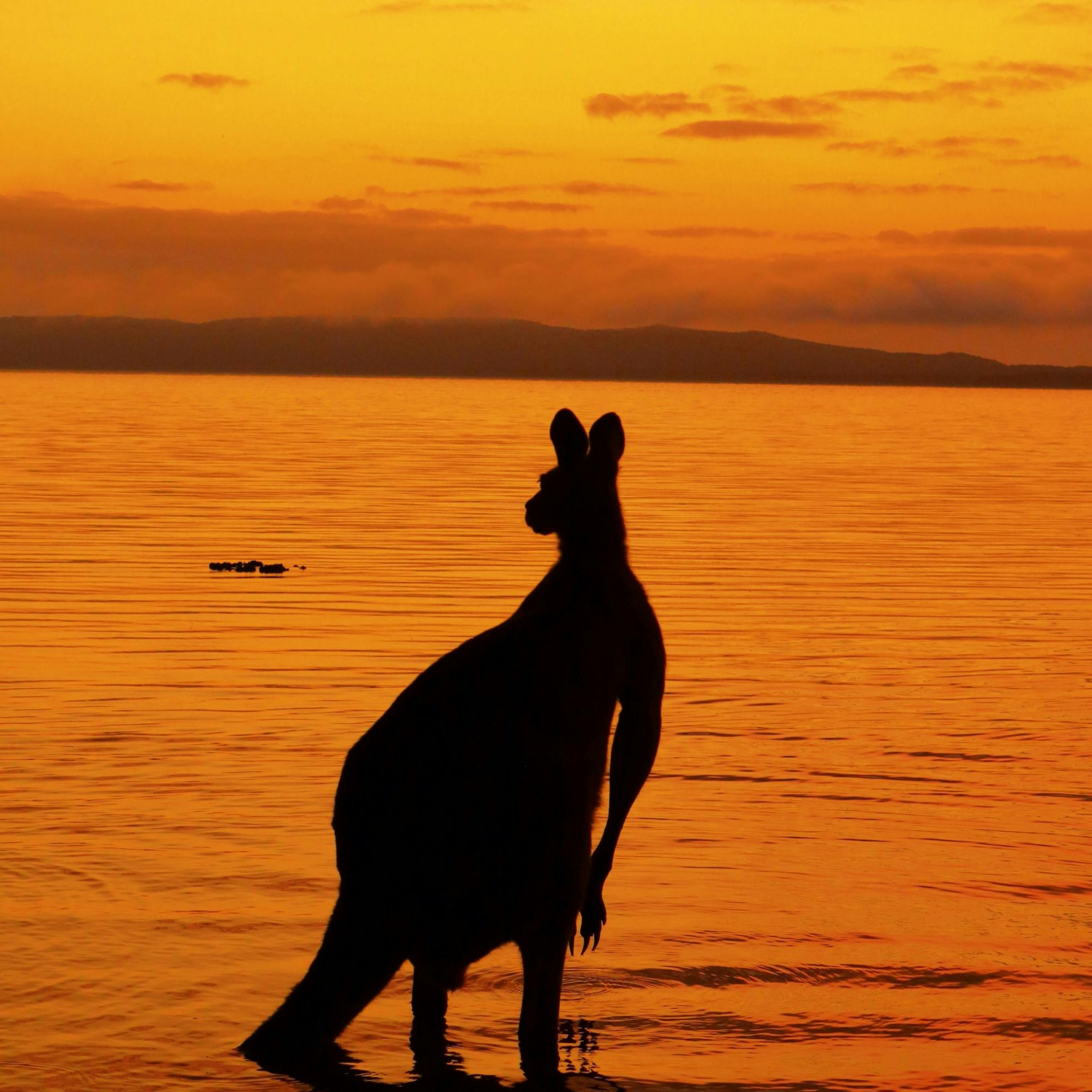 OST-Australien Guide NSW, VIC, SA & Northern Territory