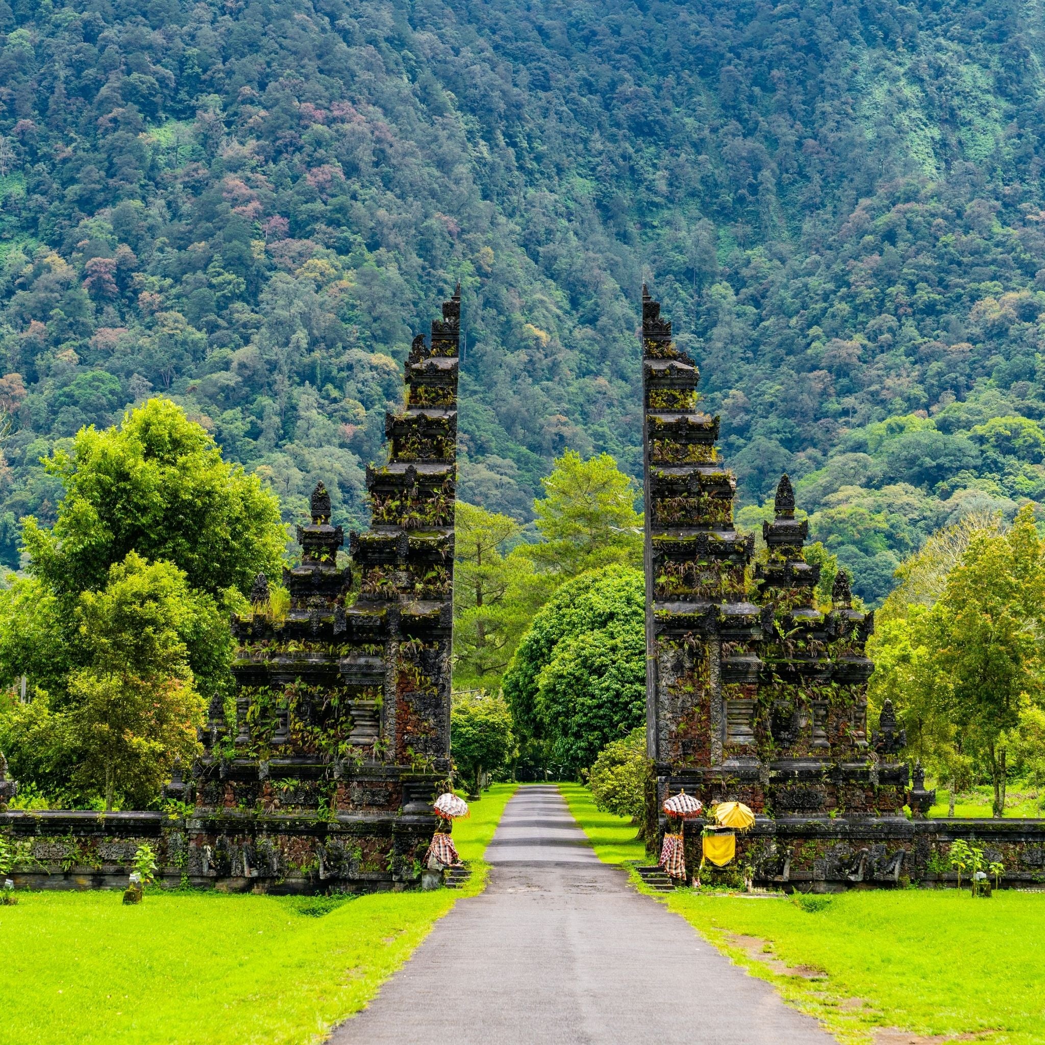 Bali Reiseguide mit 200+ Maps Pins